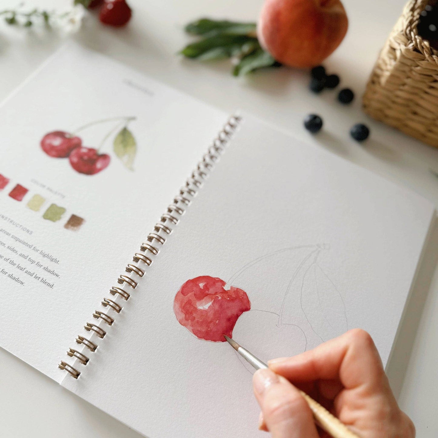 FRUIT WATERCOLOUR BOOK