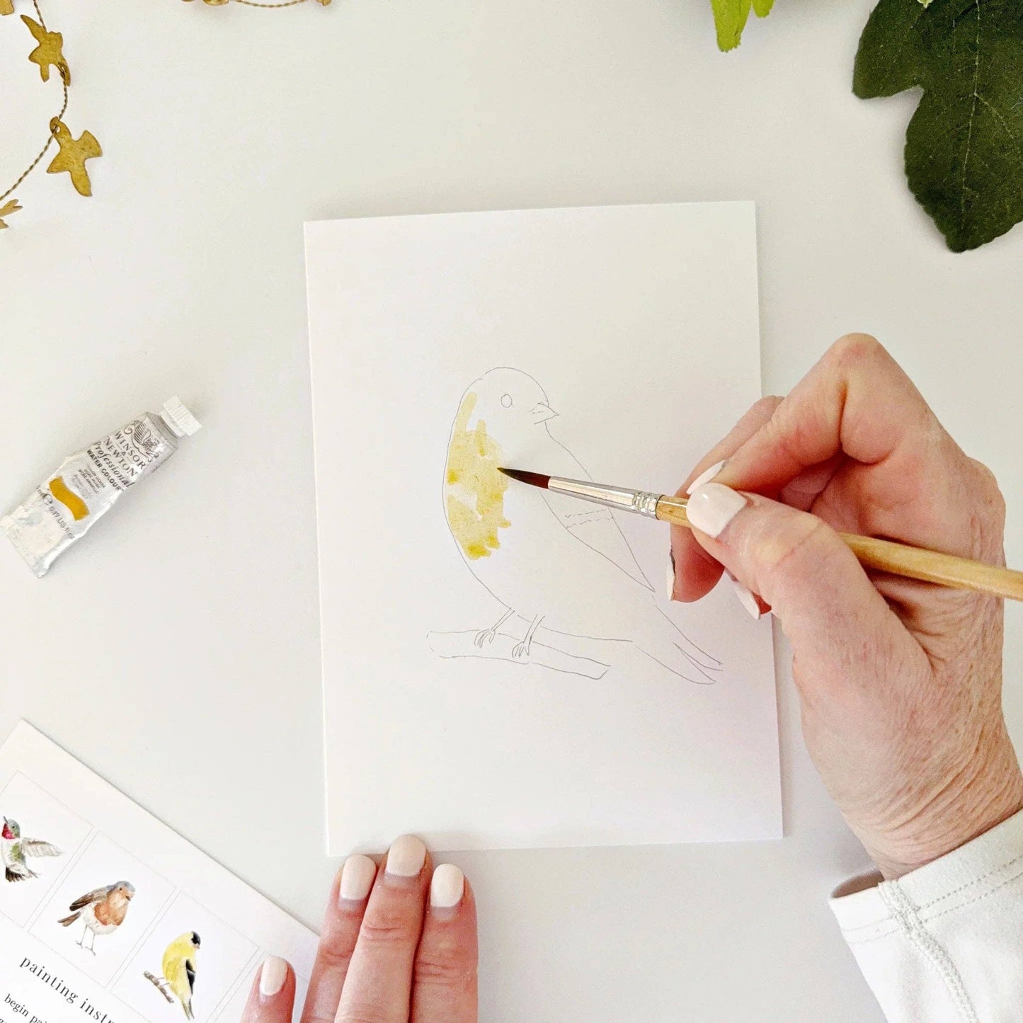 BIRDS PAINTABLE WATERCOLOUR SET
