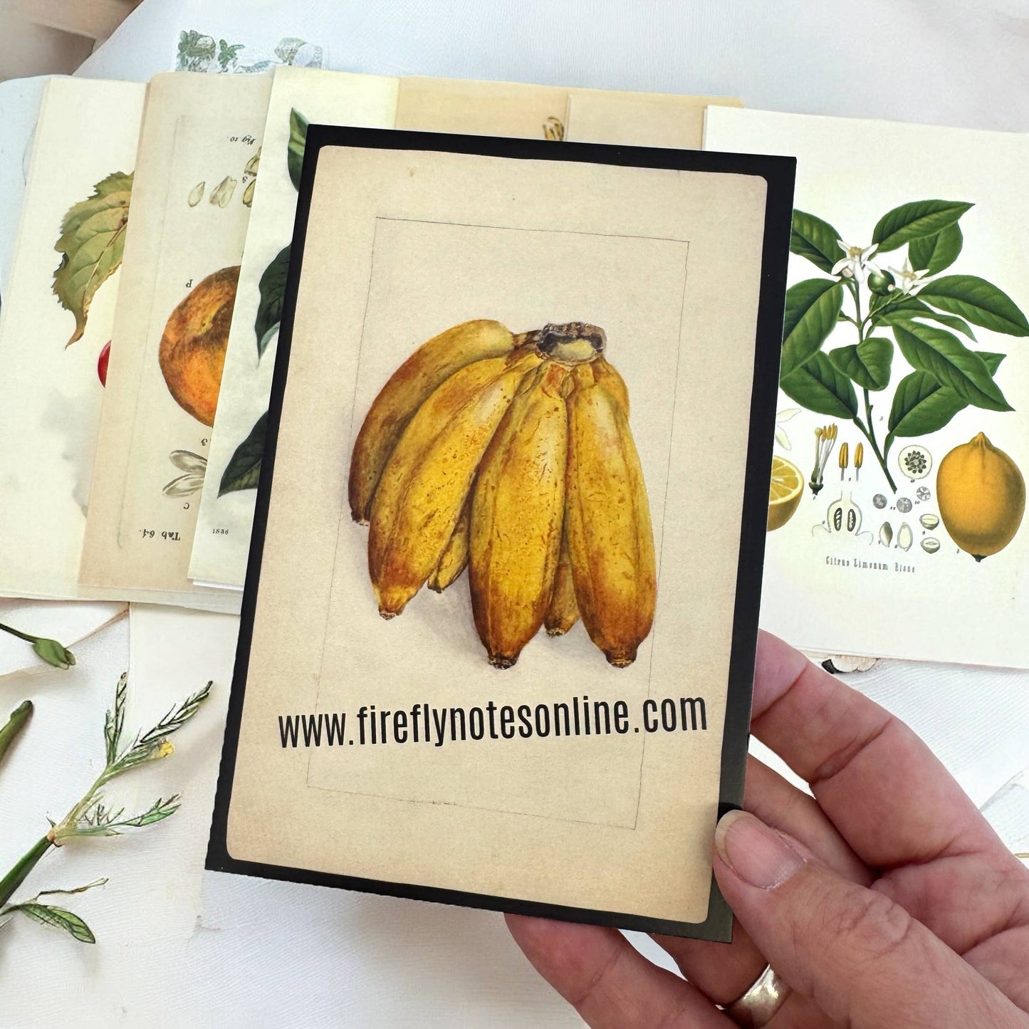 BOTANICAL RECIPE CARDS - SET 12 WITH BANANA BREAD RECIPE CARD