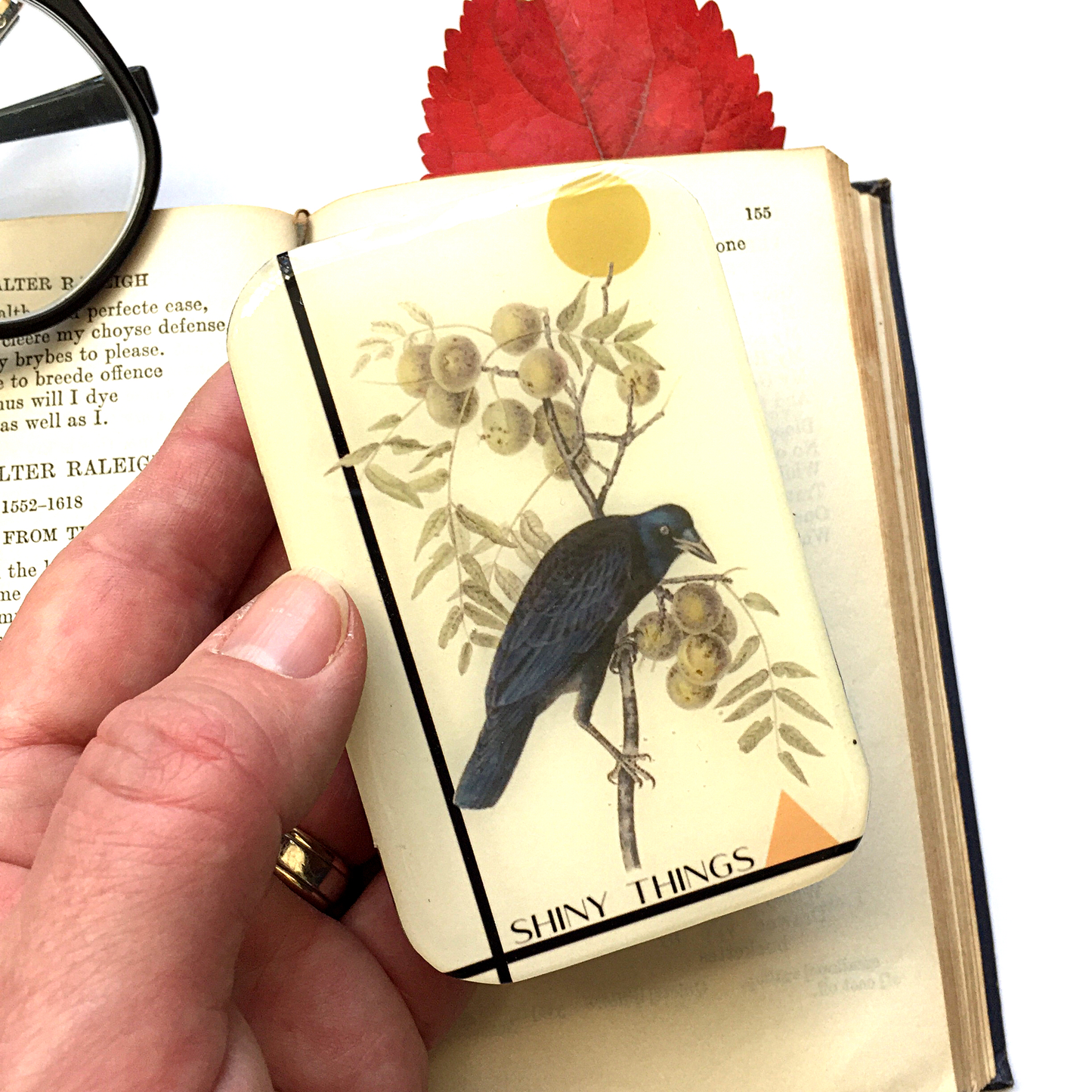 CROW SHINY THINGS TIN - LARGE