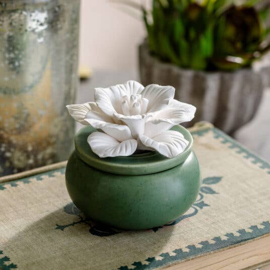 BLOOM PORCELAIN DIFFUSER WITH OIL  - GREEN