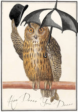 Load image into Gallery viewer, OWL DO YOU DO GREETING CARD