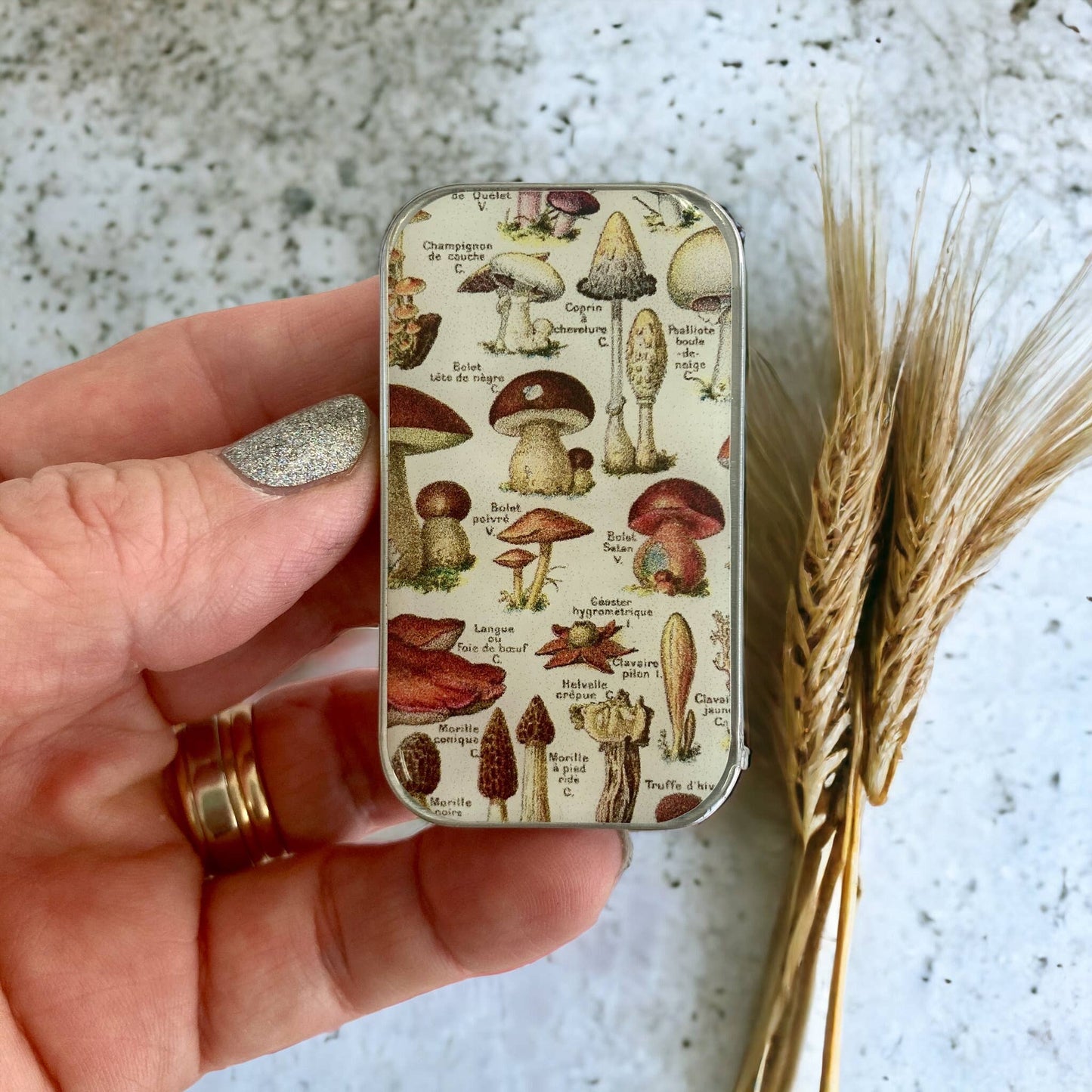 MUSHROOM NIONS STORAGE TIN