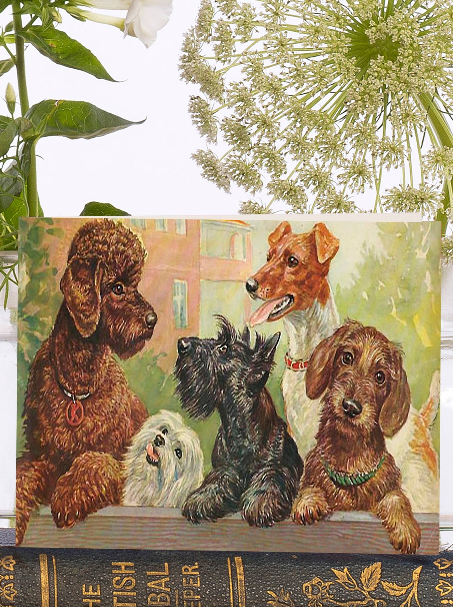 LITTLE VINTAGE GREETING CARD - LOOKING OVER THE FENCE