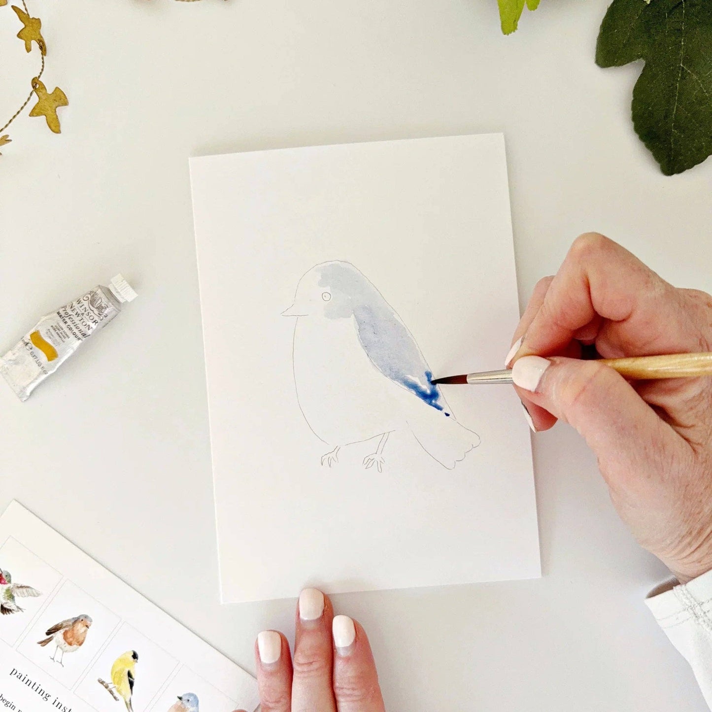 BIRDS PAINTABLE WATERCOLOUR SET