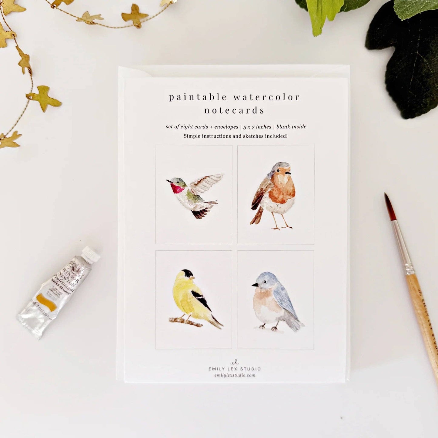 BIRDS PAINTABLE WATERCOLOUR SET