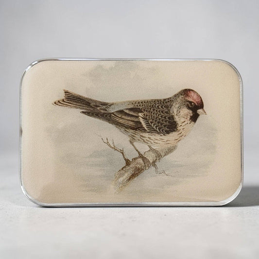REDPOLL BIRD NOTIONS TIN