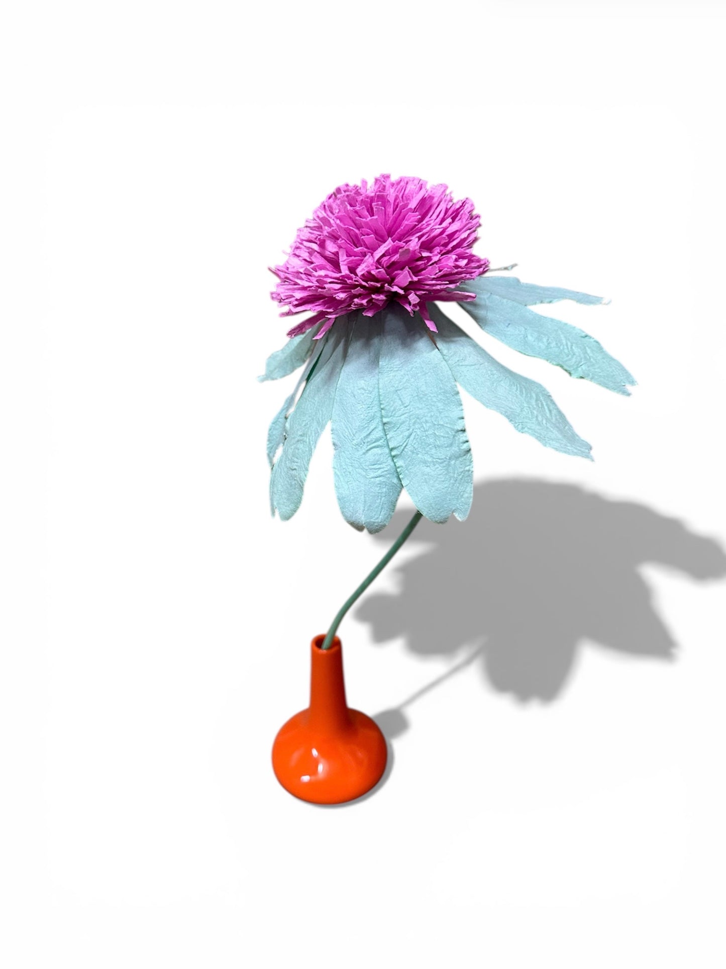 PAPER FLOWER - ECHINACEA