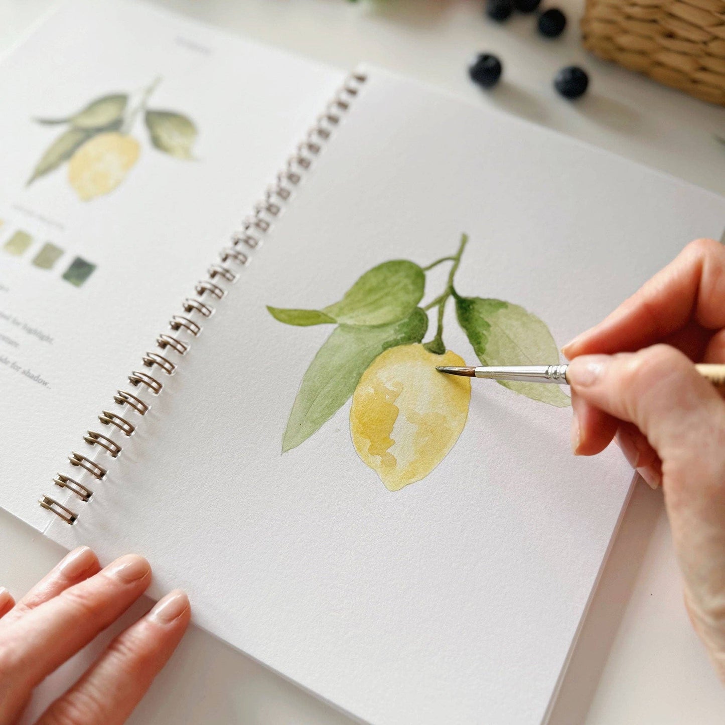 FRUIT WATERCOLOUR BOOK