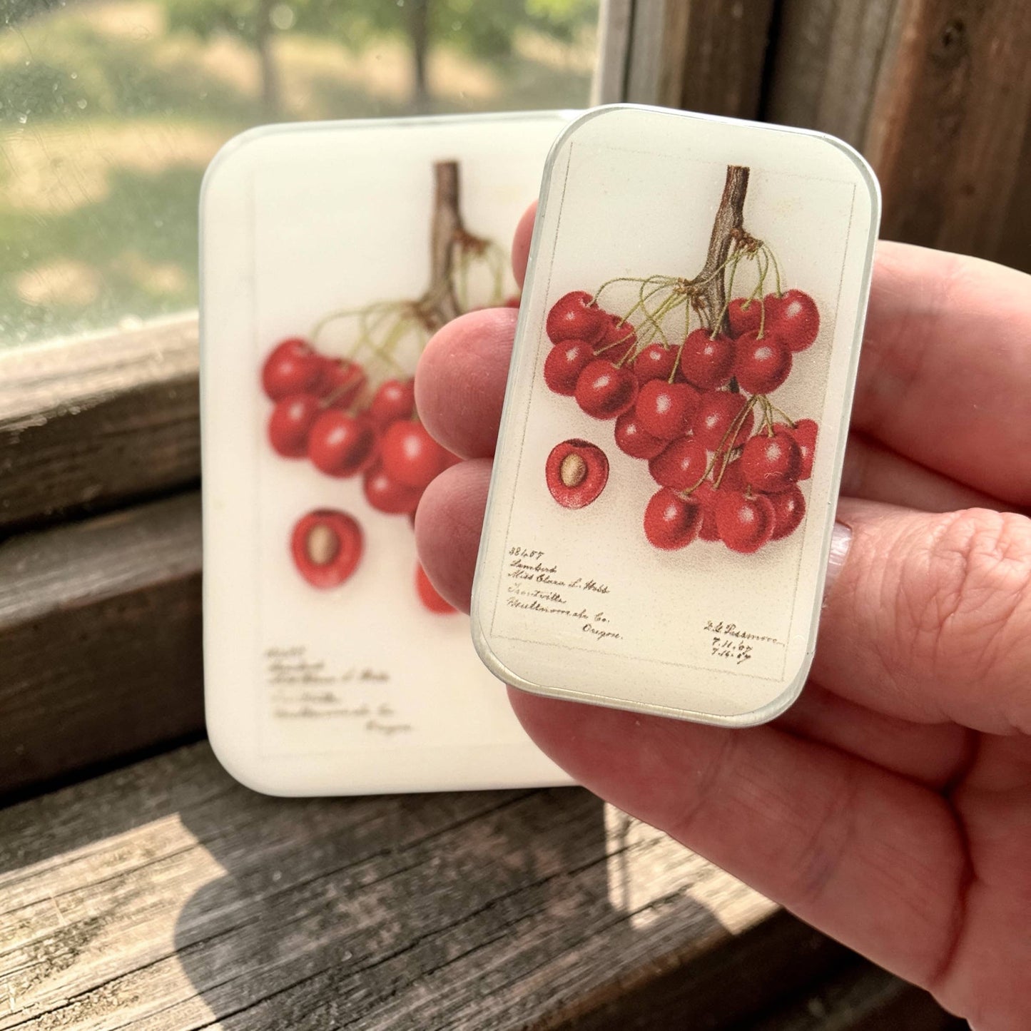BOTANICAL CHERRY NOTIONS TIN