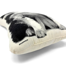 Load image into Gallery viewer, BORDER COLLIE PILLOW