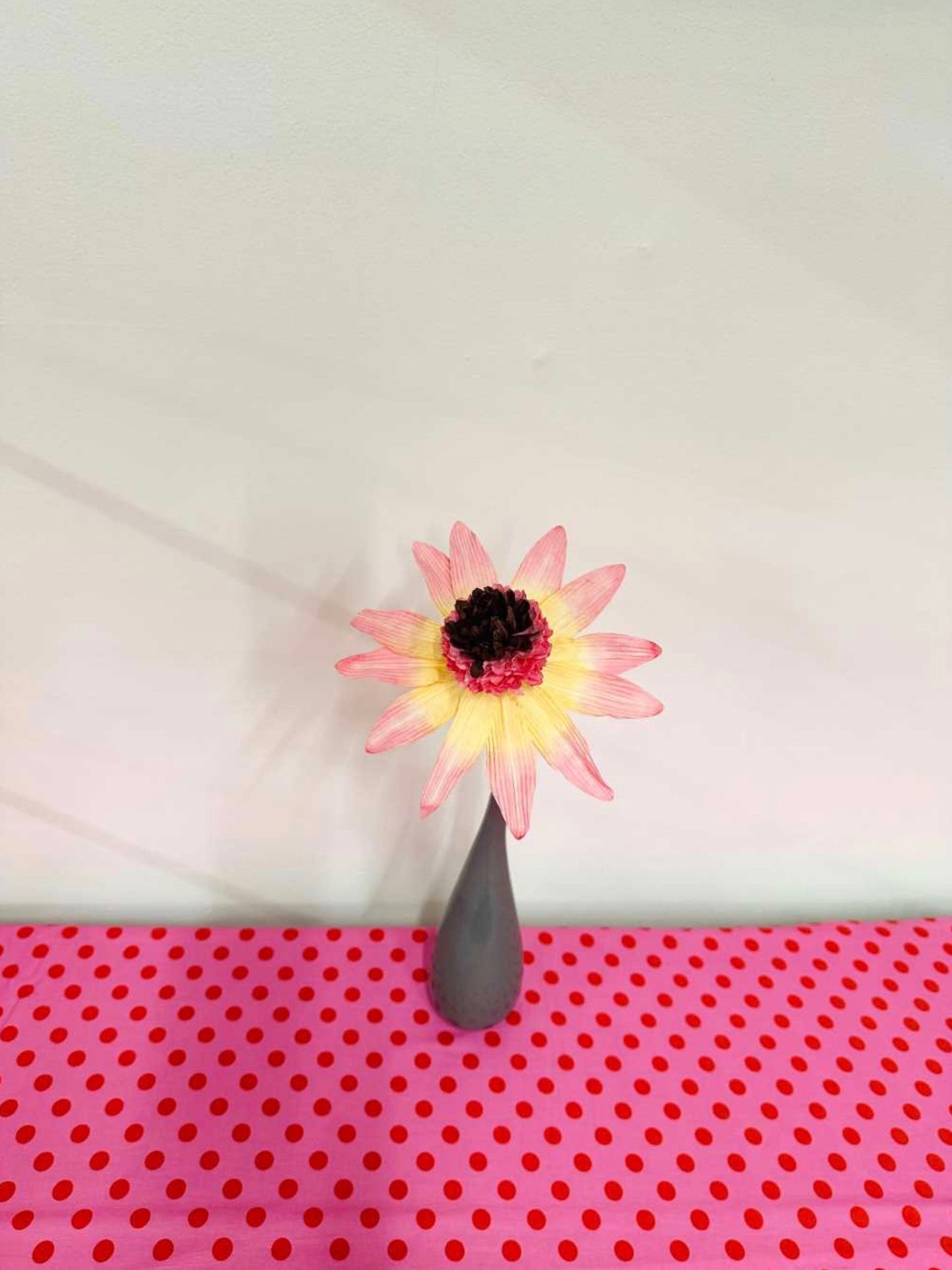 PAPER FLOWER - GARDEN ECHINACEA