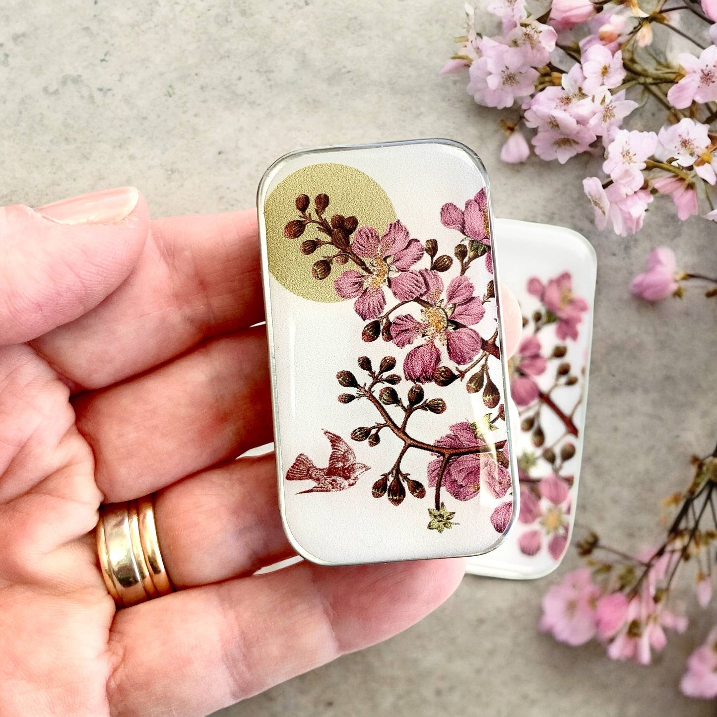 CHERRY BLOSSOM NTIONS TIN