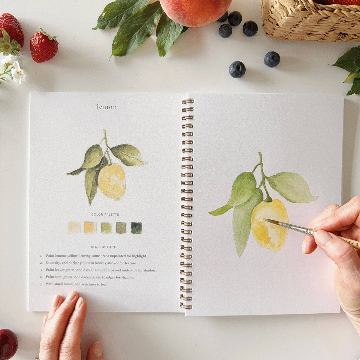 FRUIT WATERCOLOUR BOOK