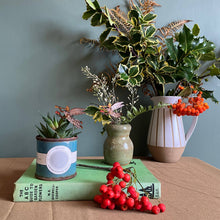 Load image into Gallery viewer, ANGEL POT PLANT COMPANIONS