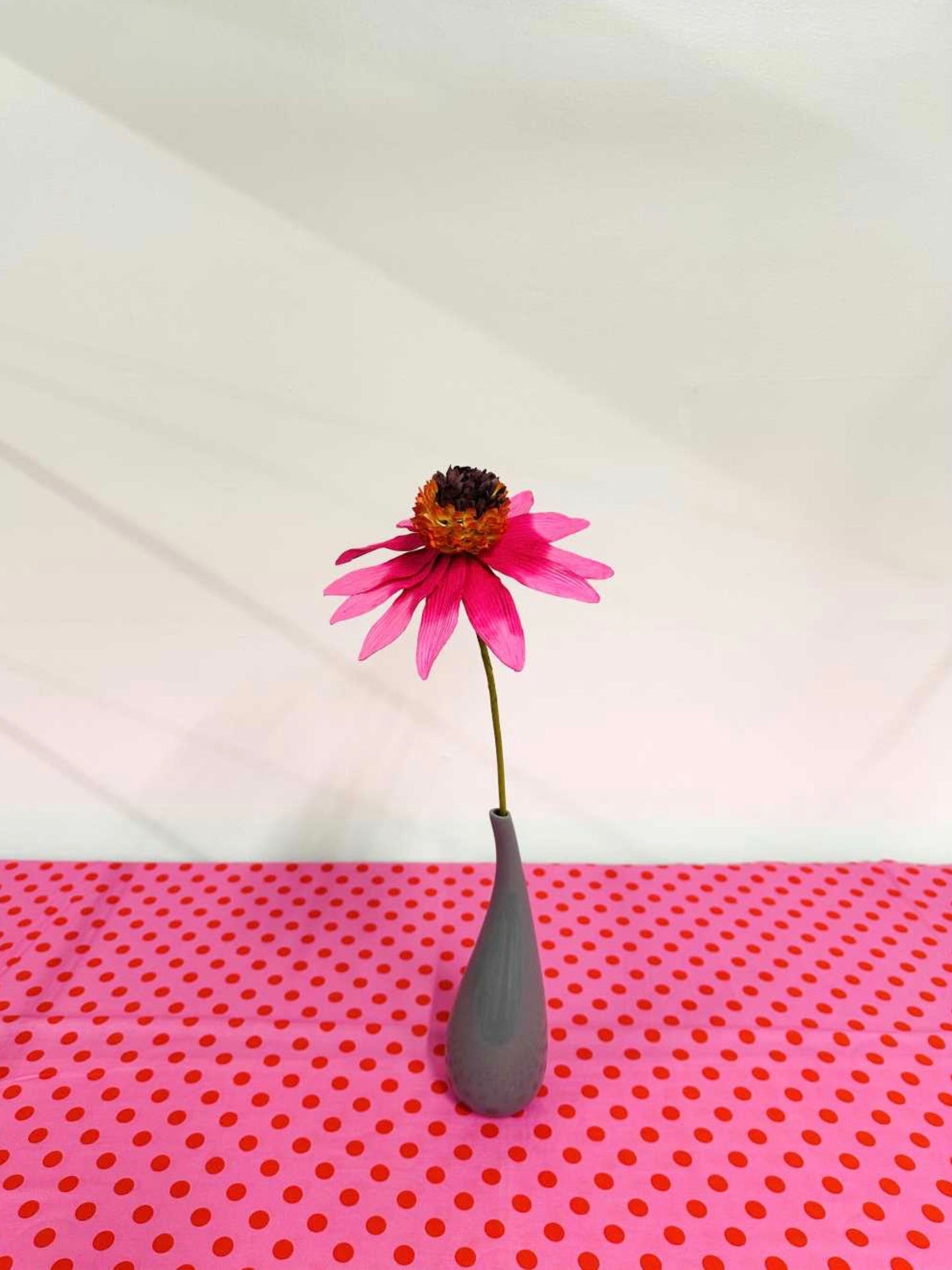 PAPER FLOWER - GARDEN ECHINACEA