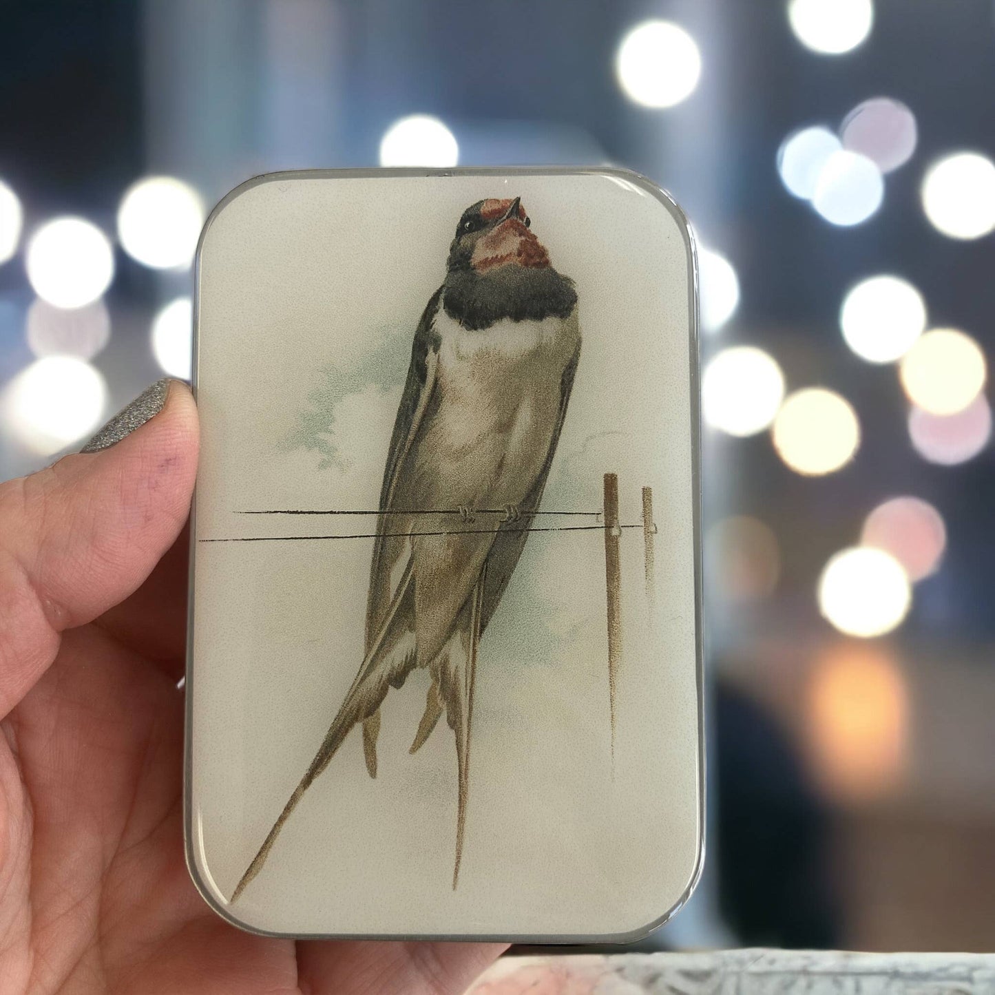 VINTAGE FRENCH SWALLOW NOTIONS TIN