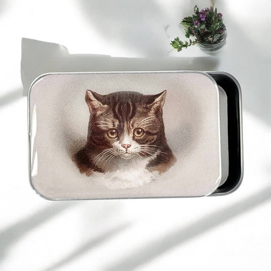 CAT NOTIONS TIN