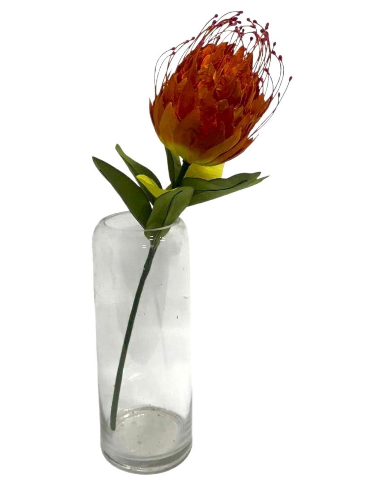 PAPER FLOWER SHOP - NATIVE PROTEA LEUCOSPERMUMS