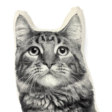 Load image into Gallery viewer, LONGHAIR CAT PILLOW