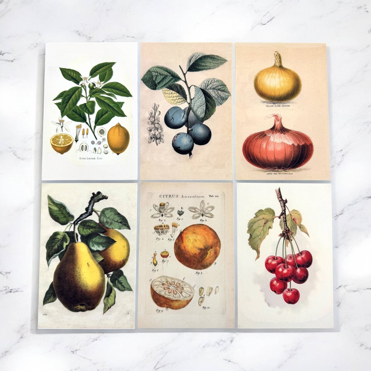 BOTANICAL RECIPE CARDS - SET 12 WITH BANANA BREAD RECIPE CARD