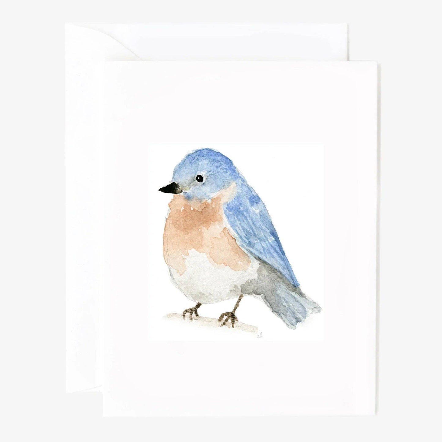 BIRDS NOTECARD - SET 8 ASSORTED