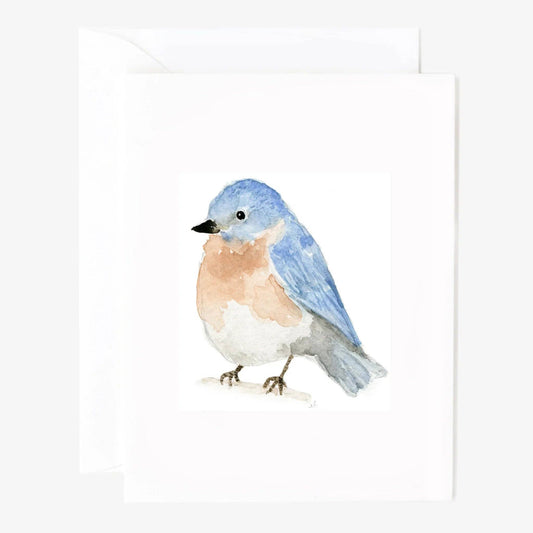 BIRDS NOTECARD - SET 8 ASSORTED