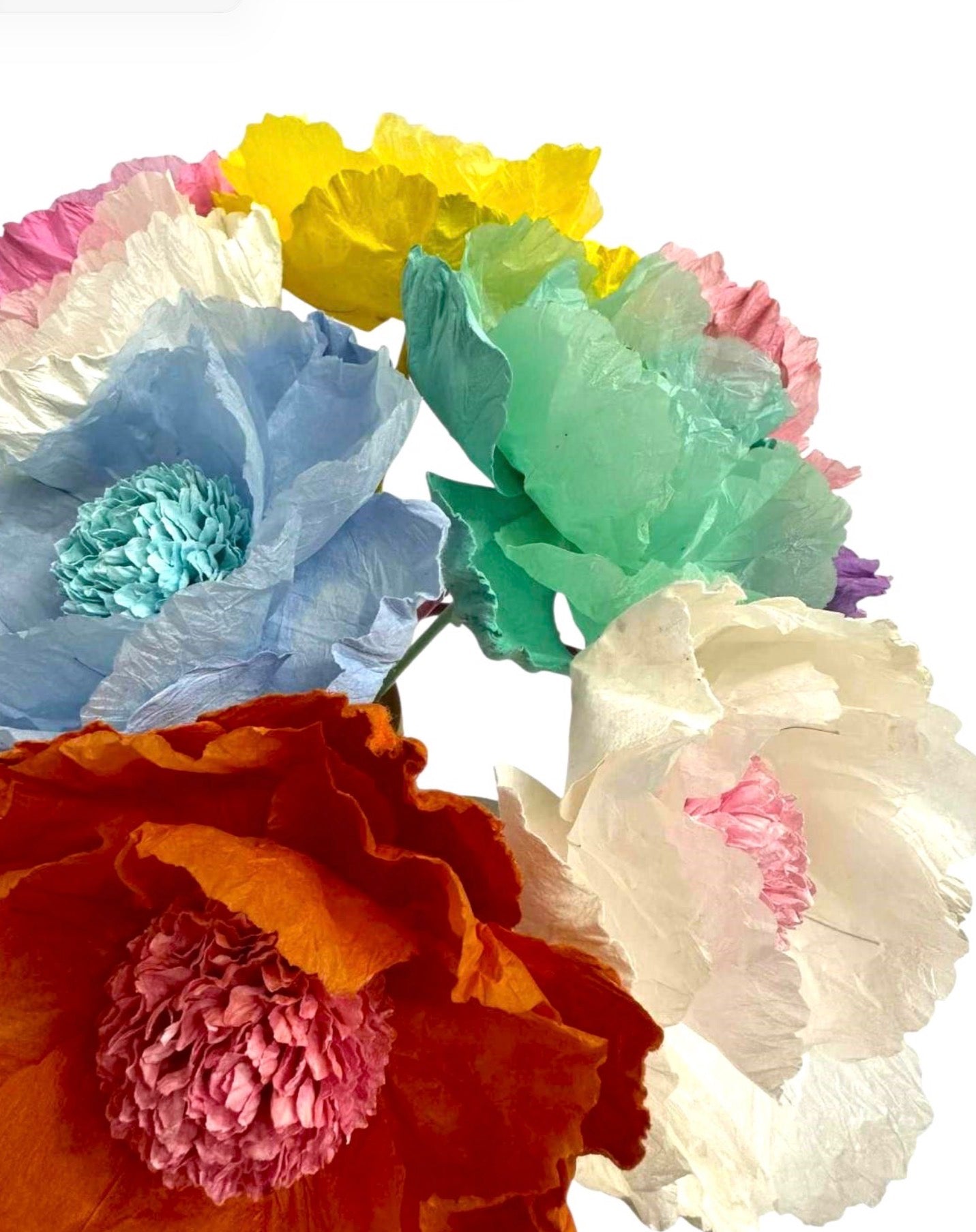 PAPER FLOWER - HELLINIUM