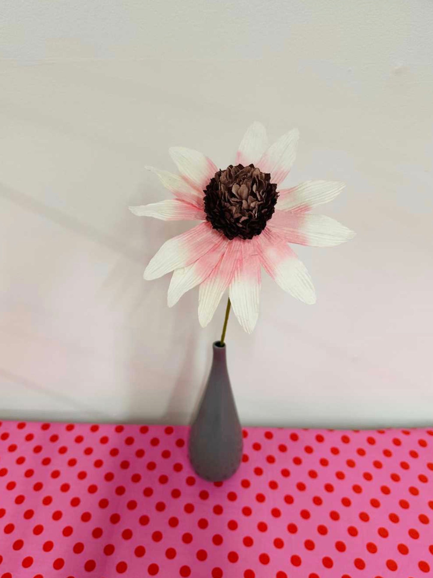 PAPER FLOWER - GARDEN ECHINACEA