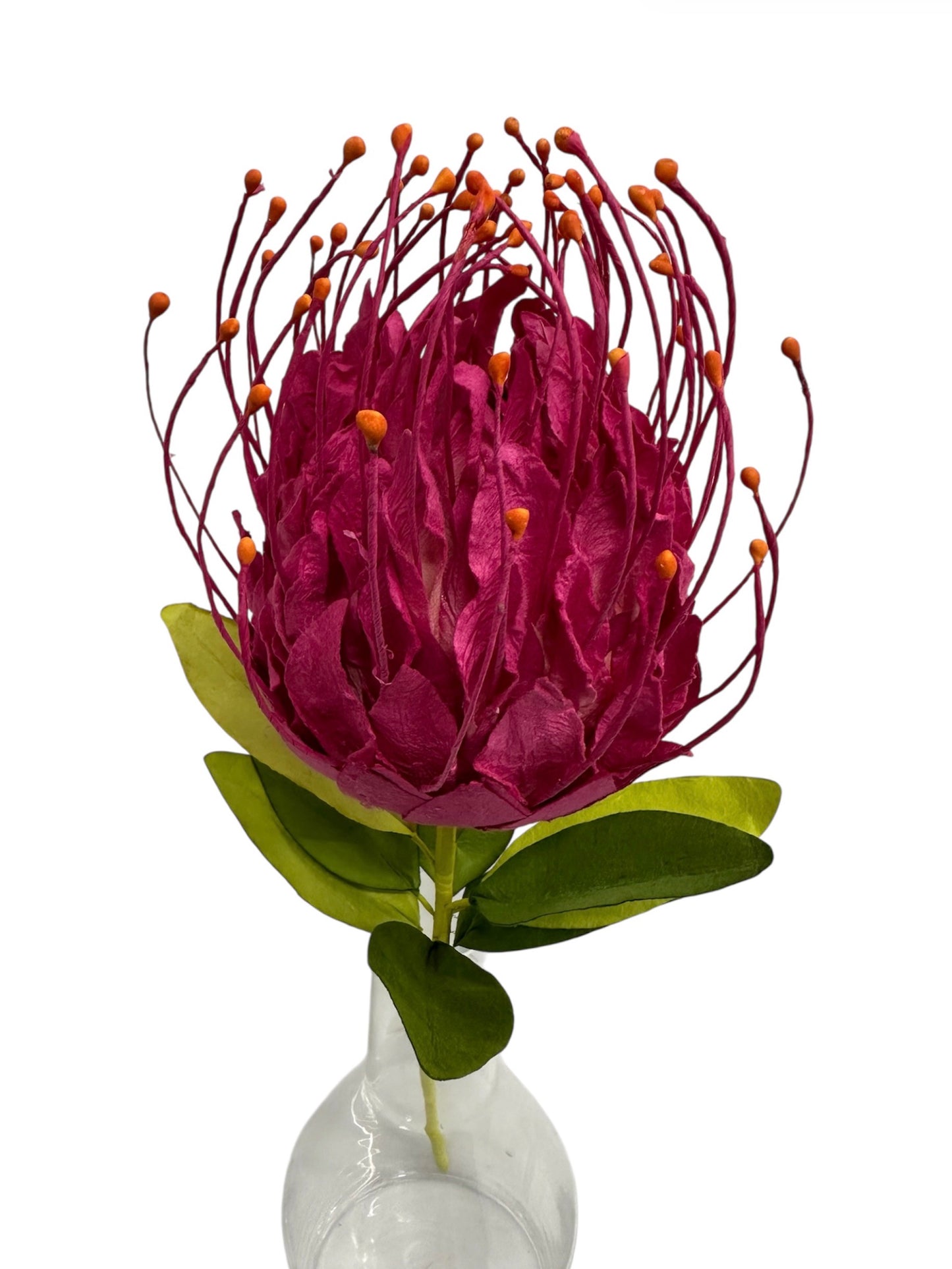 PAPER FLOWER SHOP - NATIVE PROTEA LEUCOSPERMUMS