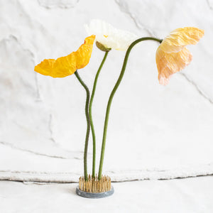 IKEBANA FLORISTS FROG WITH BRASS PINS