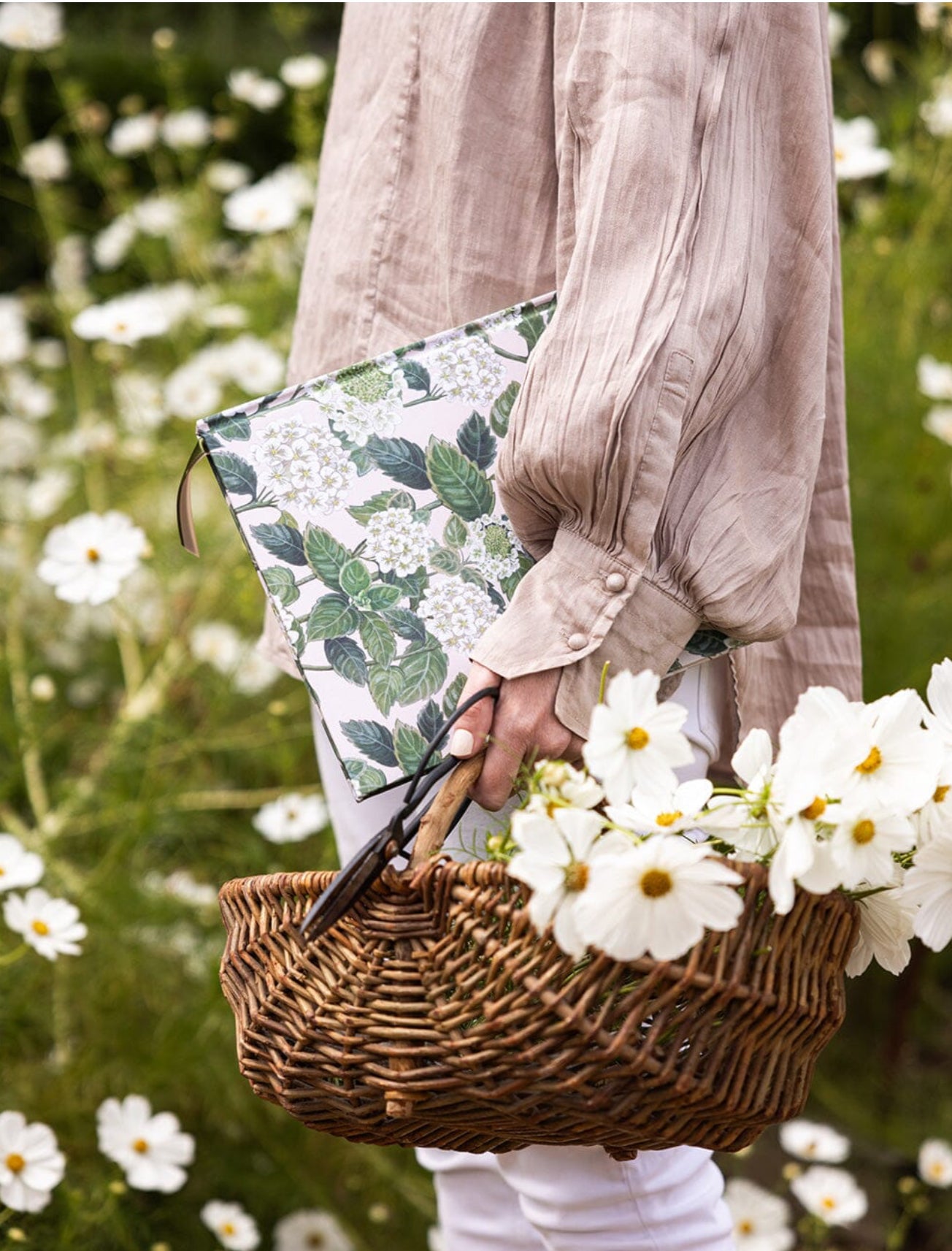 HEIRLOOM GARDENING JOURNAL - HYDRANGEA