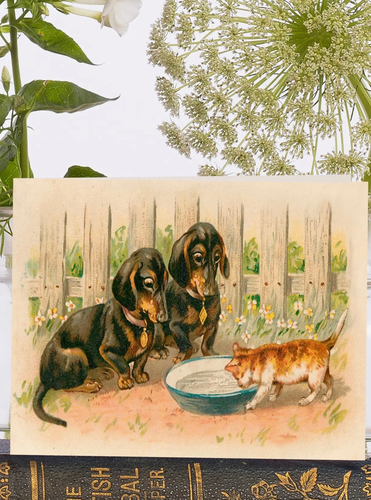 LITTLE VINTAGE GREETING CARD - THE BOWL OF MILK