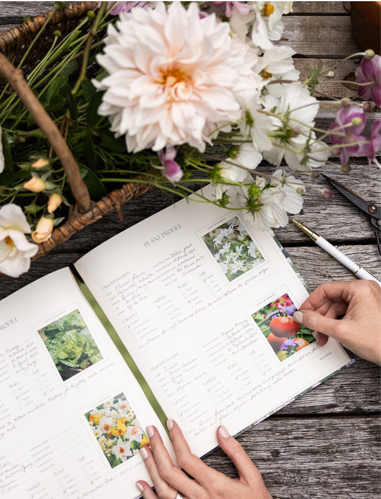 HEIRLOOM GARDENING JOURNAL - HYDRANGEA