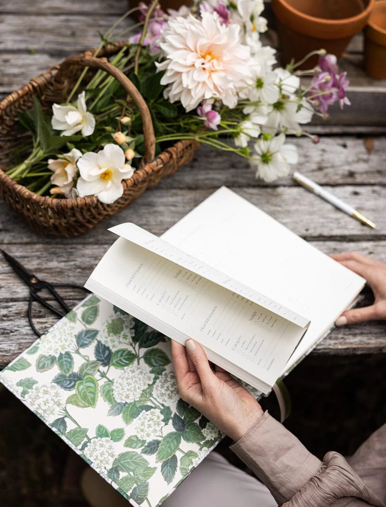 HEIRLOOM GARDENING JOURNAL - HYDRANGEA