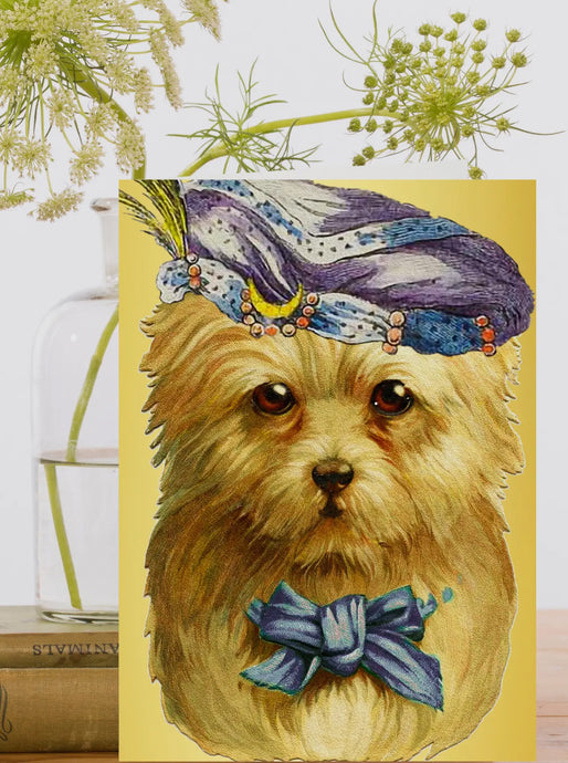 GOLD FOIL LARGE GREETING CARD - LORD FLUFFY