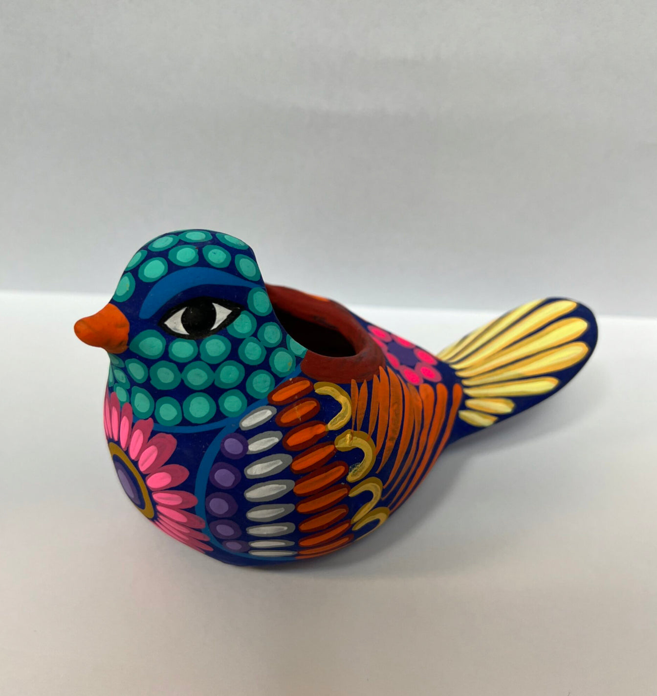 Mexican Dove Succulent Planter