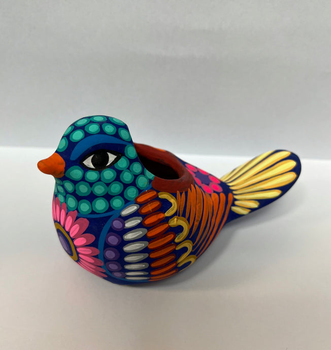 Mexican Dove Succulent Planter