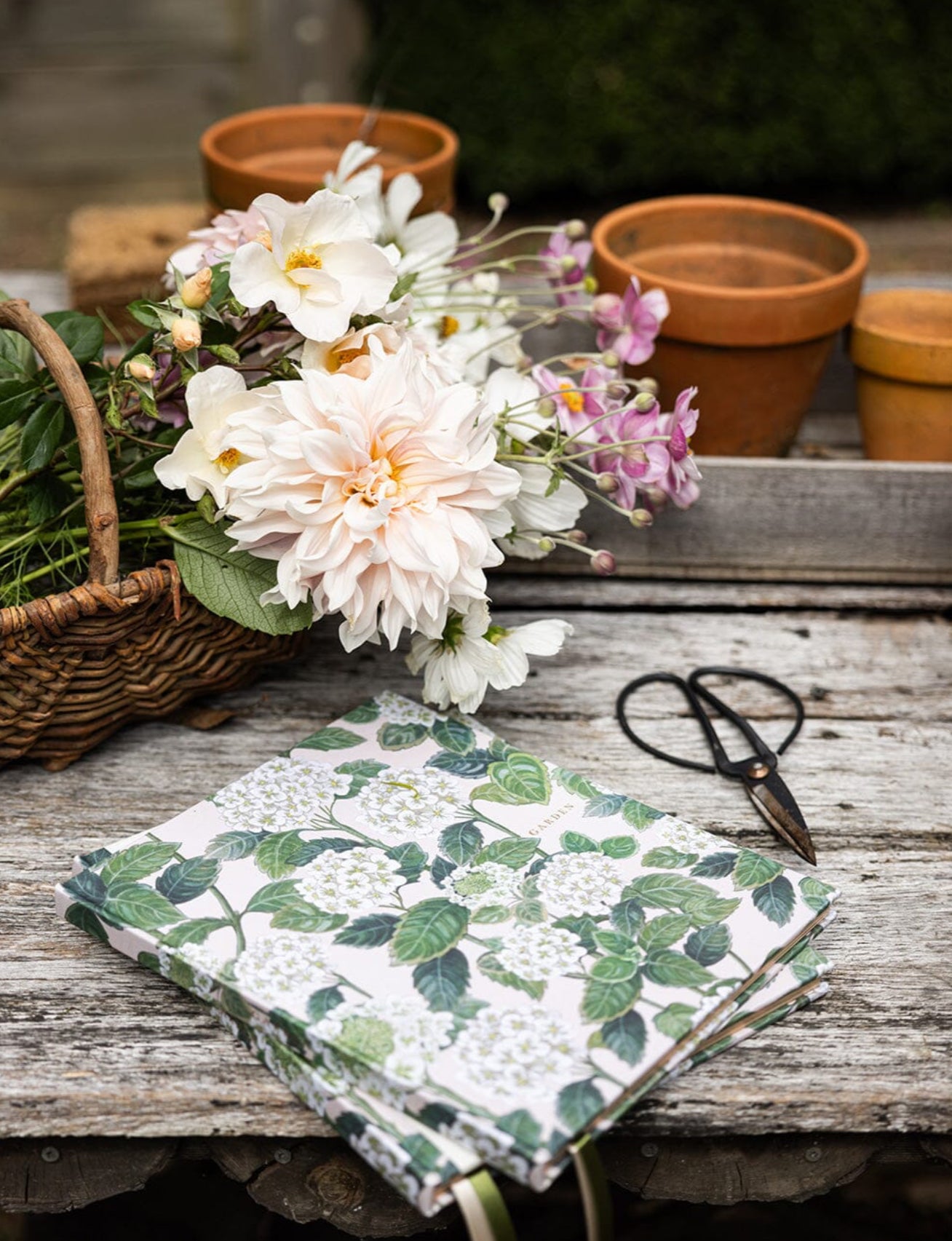 HEIRLOOM GARDENING JOURNAL - HYDRANGEA