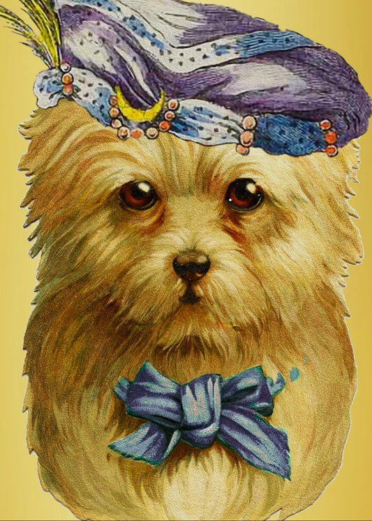 GOLD FOIL LARGE GREETING CARD - LORD FLUFFY