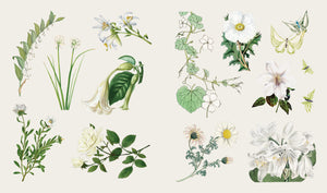 BLOOMS & BUTTERFLIES STICKER TREASURY BOOK