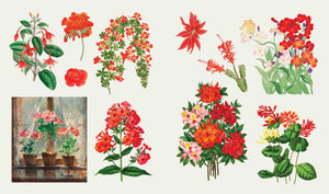 BLOOMS & BUTTERFLIES STICKER TREASURY BOOK