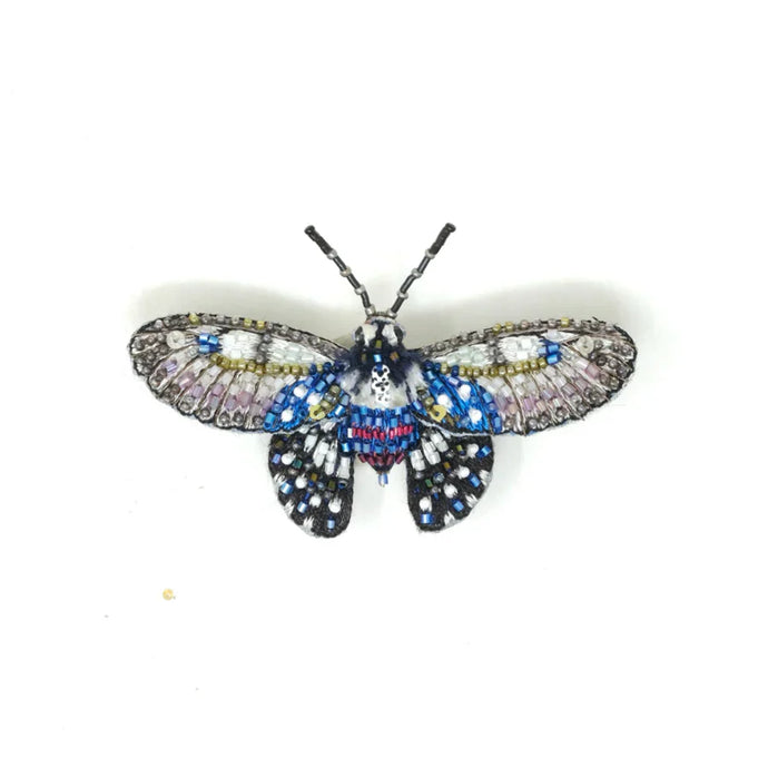 BROOCH - BORNEO BIRDWING BUTTERFLY