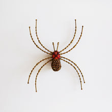 Load image into Gallery viewer, BROOCH - CELLAR SPIDER