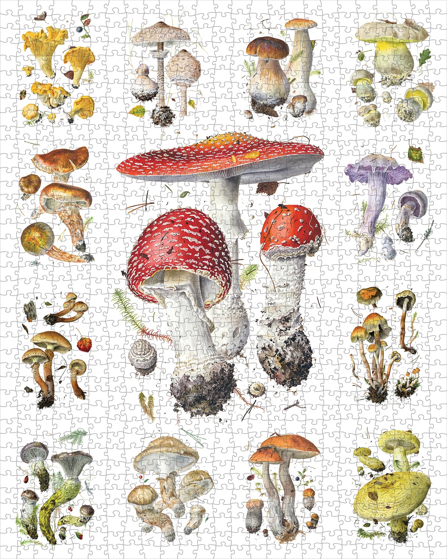 1000 PIECE JIGSAW PUZZLE - MUSHROOMS