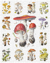 Load image into Gallery viewer, 1000 PIECE JIGSAW PUZZLE - MUSHROOMS