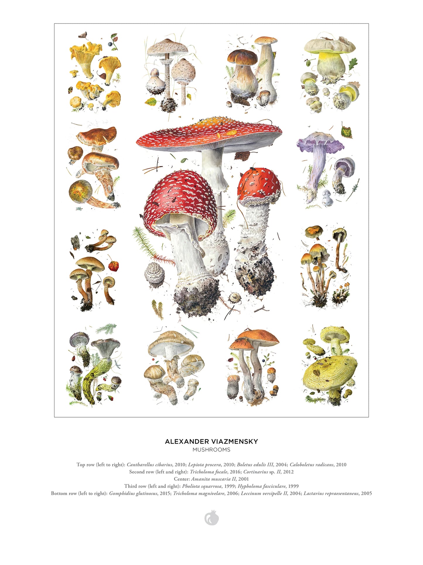 1000 PIECE JIGSAW PUZZLE - MUSHROOMS