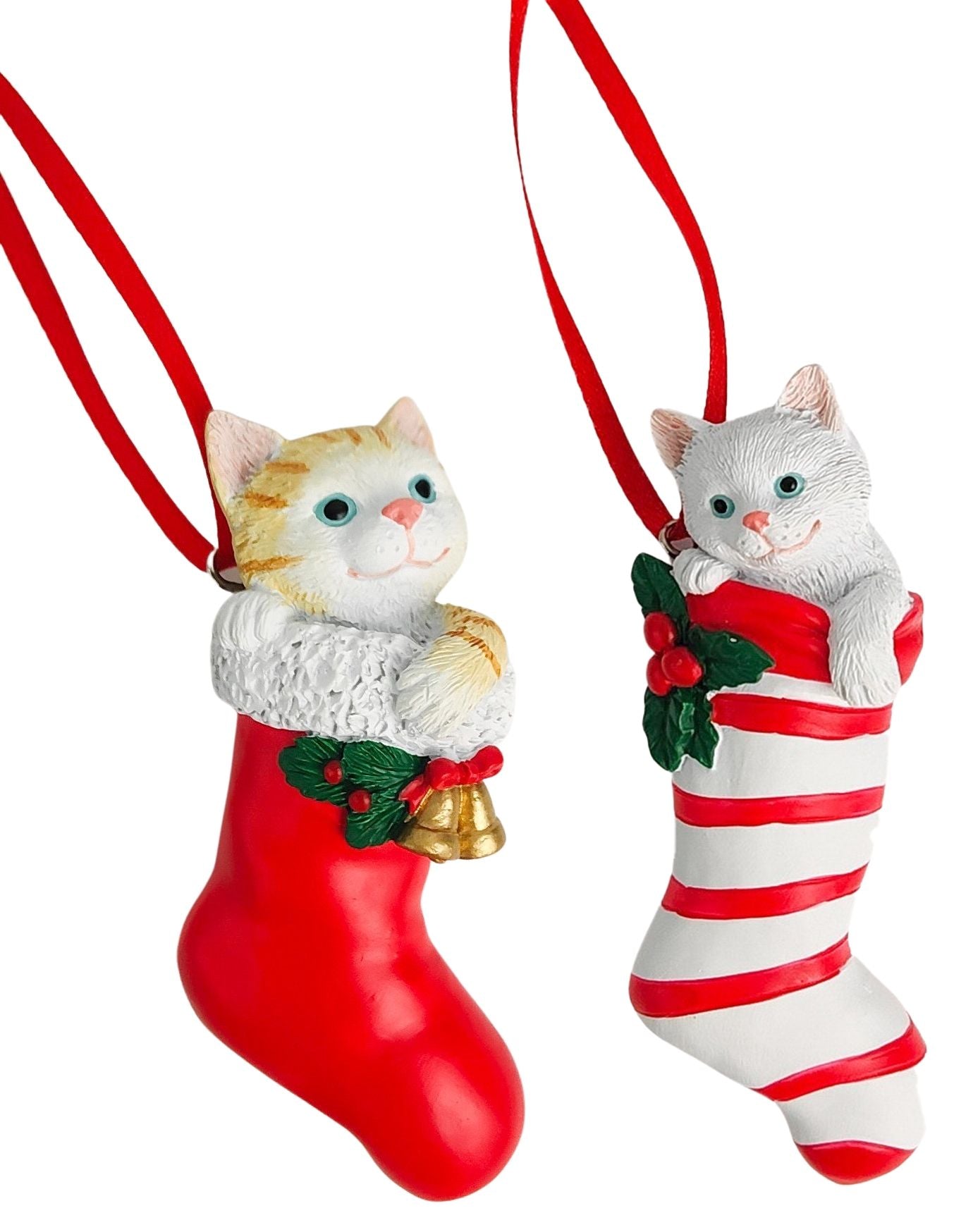 CAT IN STOCKING