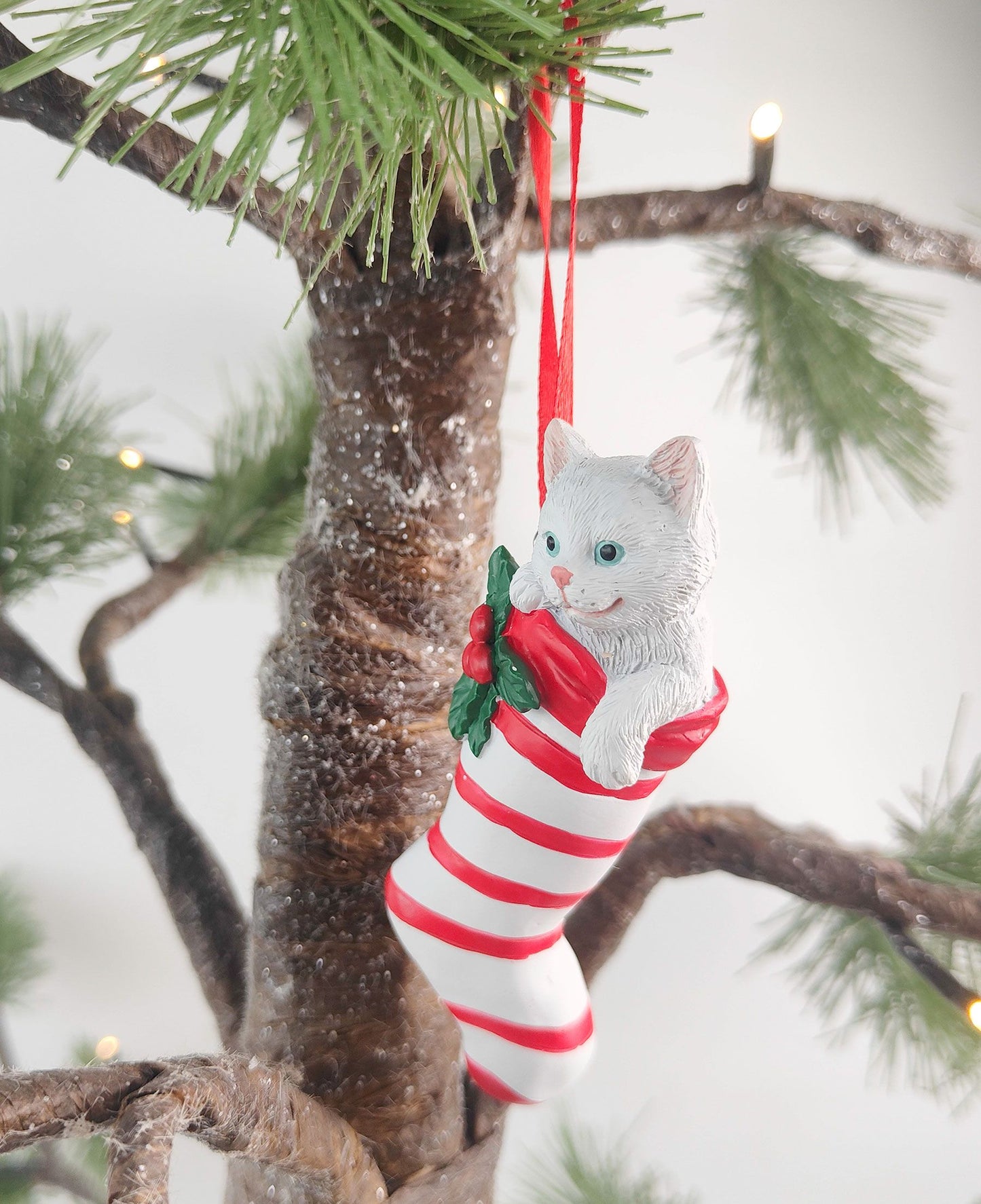 CAT IN STOCKING