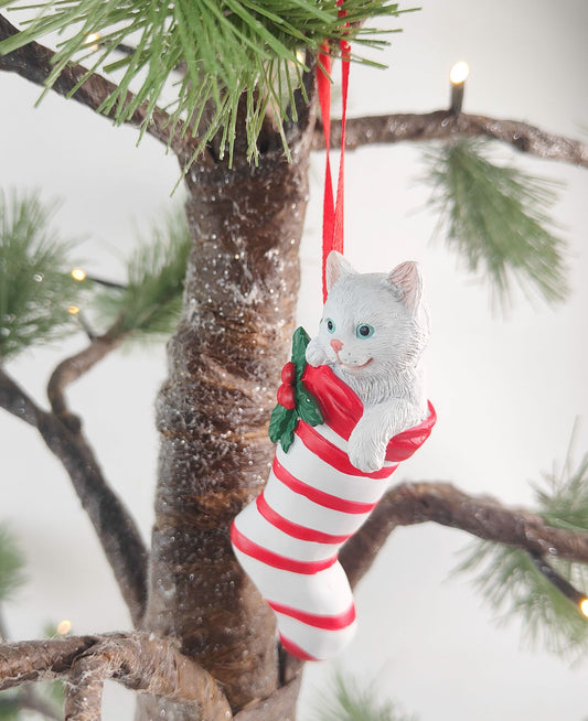 CAT IN STOCKING